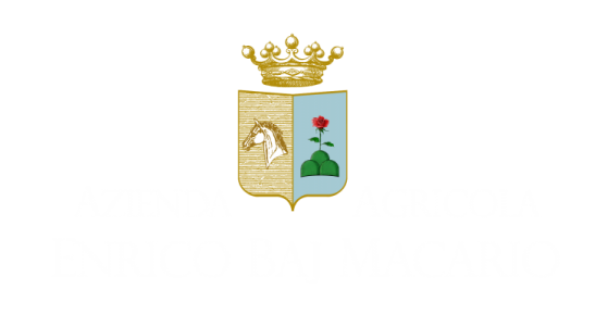 l'amore per la terra, la passione per le tradizioni